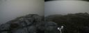./images/calvert/buxton2/20180623/buxton220180623_083958M.jpg