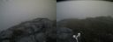 ./images/calvert/buxton2/20180623/buxton220180623_084958M.jpg