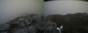./images/calvert/buxton2/20180623/buxton220180623_104458M.jpg