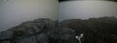 ./images/calvert/buxton2/20180623/buxton220180623_114459M.jpg