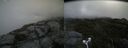 ./images/calvert/buxton2/20180623/buxton220180623_122459M.jpg