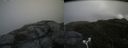./images/calvert/buxton2/20180623/buxton220180623_123958M.jpg