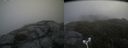 ./images/calvert/buxton2/20180623/buxton220180623_134459M.jpg