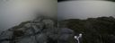 ./images/calvert/buxton2/20180623/buxton220180623_140958M.jpg