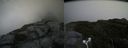 ./images/calvert/buxton2/20180623/buxton220180623_141459M.jpg