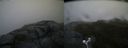 ./images/calvert/buxton2/20180624/buxton220180624_060458M.jpg