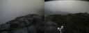 ./images/calvert/buxton2/20180624/buxton220180624_141458M.jpg