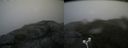 ./images/calvert/buxton2/20180624/buxton220180624_155458M.jpg