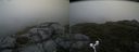 ./images/calvert/buxton2/20180624/buxton220180624_182458M.jpg