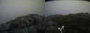 ./images/calvert/buxton2/20180624/buxton220180624_192959M.jpg