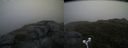 ./images/calvert/buxton2/20180624/buxton220180624_205458M.jpg
