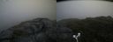 ./images/calvert/buxton2/20180624/buxton220180624_205958M.jpg