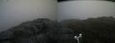 ./images/calvert/buxton2/20180626/buxton220180626_084958M.jpg