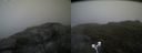 ./images/calvert/buxton2/20180626/buxton220180626_093458M.jpg