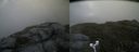 ./images/calvert/buxton2/20180627/buxton220180627_070458M.jpg