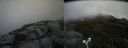 ./images/calvert/buxton2/20180627/buxton220180627_071458M.jpg