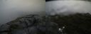 ./images/calvert/buxton2/20180628/buxton220180628_115958M.jpg