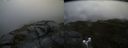 ./images/calvert/buxton2/20180628/buxton220180628_132958M.jpg