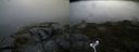 ./images/calvert/buxton2/20180628/buxton220180628_133958M.jpg