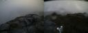 ./images/calvert/buxton2/20180629/buxton220180629_060458M.jpg