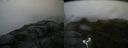 ./images/calvert/buxton2/20180629/buxton220180629_073958M.jpg