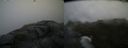 ./images/calvert/buxton2/20180629/buxton220180629_084458M.jpg