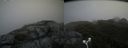 ./images/calvert/buxton2/20180629/buxton220180629_141959M.jpg