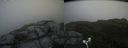 ./images/calvert/buxton2/20180629/buxton220180629_144458M.jpg
