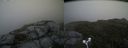 ./images/calvert/buxton2/20180629/buxton220180629_145958M.jpg