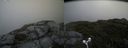 ./images/calvert/buxton2/20180629/buxton220180629_150958M.jpg
