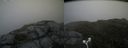 ./images/calvert/buxton2/20180629/buxton220180629_152958M.jpg