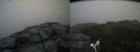 ./images/calvert/buxton2/20180629/buxton220180629_153458M.jpg