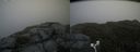 ./images/calvert/buxton2/20180629/buxton220180629_153958M.jpg