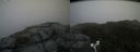 ./images/calvert/buxton2/20180629/buxton220180629_154458M.jpg