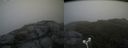 ./images/calvert/buxton2/20180629/buxton220180629_170958M.jpg