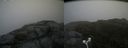 ./images/calvert/buxton2/20180629/buxton220180629_183958M.jpg