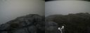 ./images/calvert/buxton2/20180629/buxton220180629_194458M.jpg