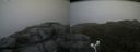 ./images/calvert/buxton2/20180629/buxton220180629_195958M.jpg