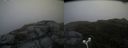 ./images/calvert/buxton2/20180629/buxton220180629_204458M.jpg