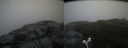 ./images/calvert/buxton2/20180629/buxton220180629_204958M.jpg