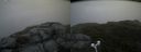 ./images/calvert/buxton2/20180629/buxton220180629_205958M.jpg