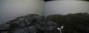 ./images/calvert/buxton2/20180629/buxton220180629_211458M.jpg