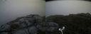 ./images/calvert/buxton2/20180629/buxton220180629_211958M.jpg