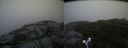 ./images/calvert/buxton2/20180629/buxton220180629_212458M.jpg