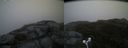 ./images/calvert/buxton2/20180629/buxton220180629_213458M.jpg