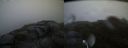 ./images/calvert/buxton2/20180630/buxton220180630_052957M.jpg