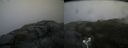 ./images/calvert/buxton2/20180630/buxton220180630_065958M.jpg