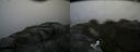 ./images/calvert/buxton2/20180630/buxton220180630_131958M.jpg