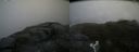 ./images/calvert/buxton2/20180630/buxton220180630_132958M.jpg