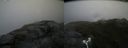 ./images/calvert/buxton2/20180630/buxton220180630_135958M.jpg
